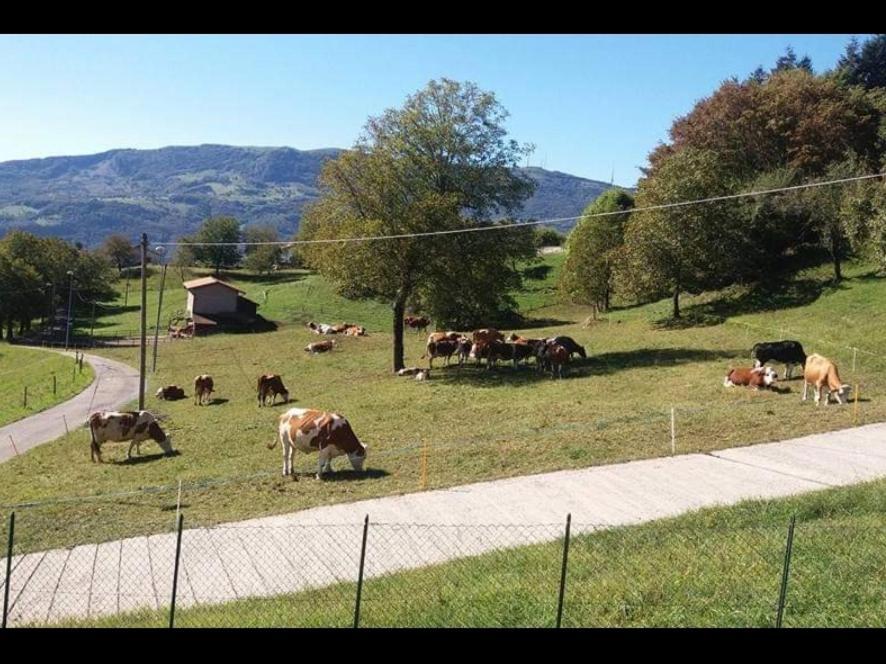 Casa "La Forcella" Villa Brembilla Luaran gambar